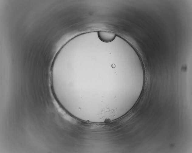 X0000114181439200911051540