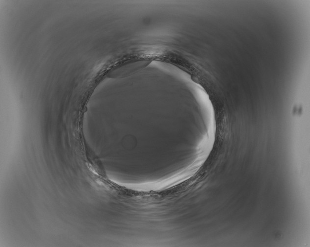 X0000114181441200911051540