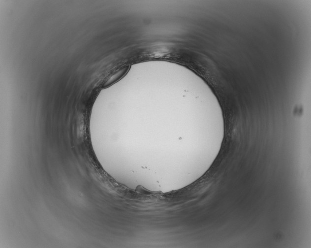 X0000114181442200911051540