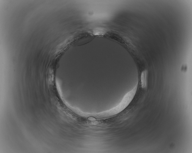 X0000114181443200911051540