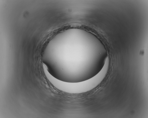 X0000114181445200911051540