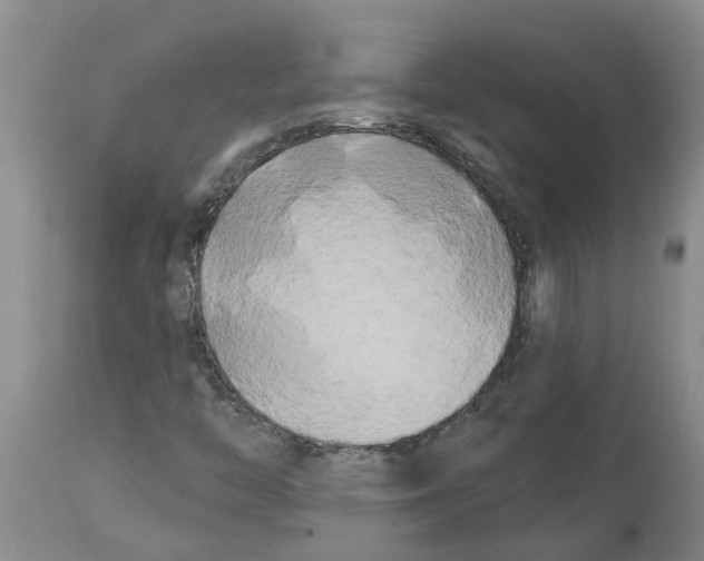 X0000114181446200911051540