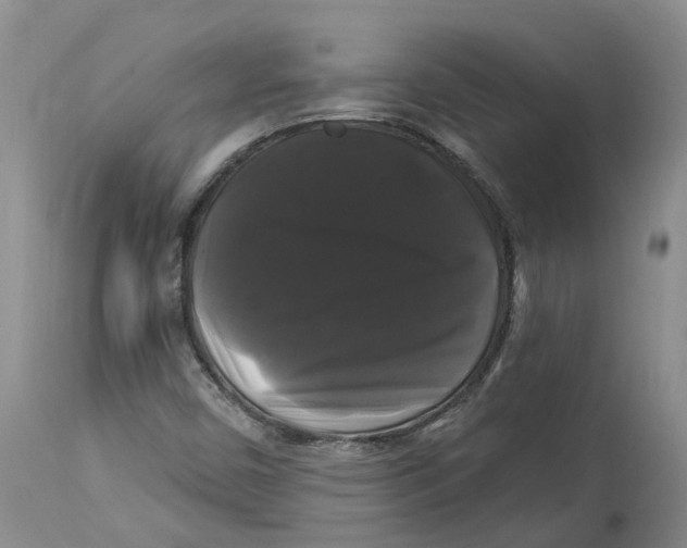 X0000114181450200911051539