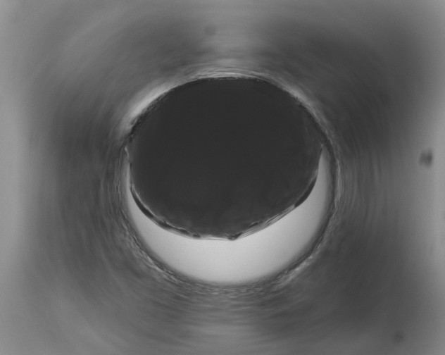 X0000114181453200911051539