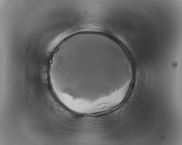 X0000114181455200911051539