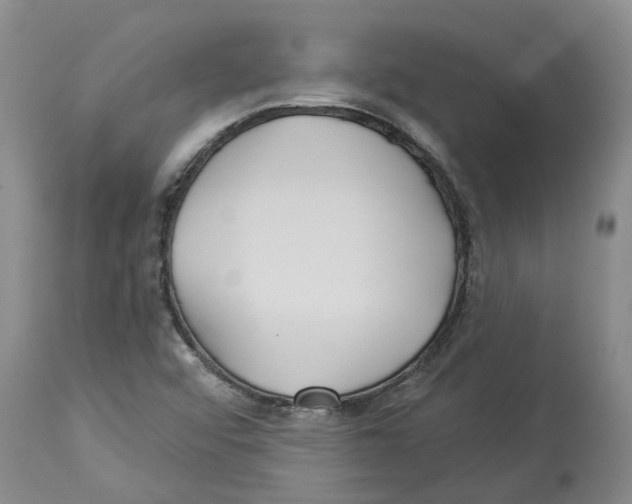 X0000114181456200911051539