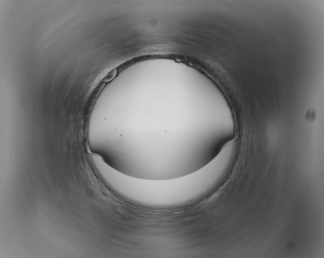 X0000114181457200911051539