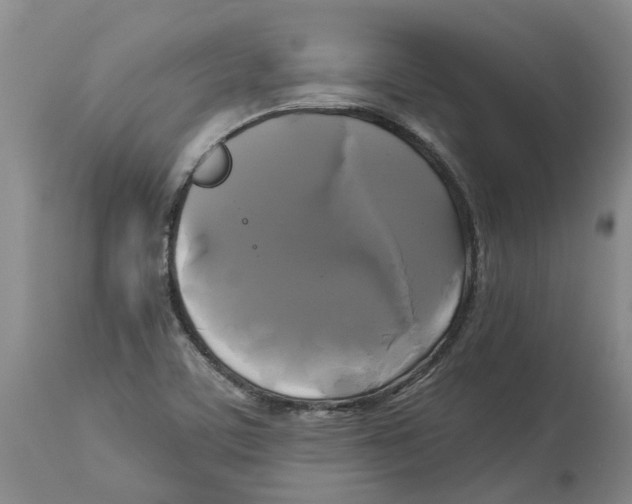 X0000114181459200911051539