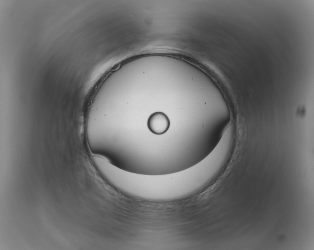 X0000114181461200911051539