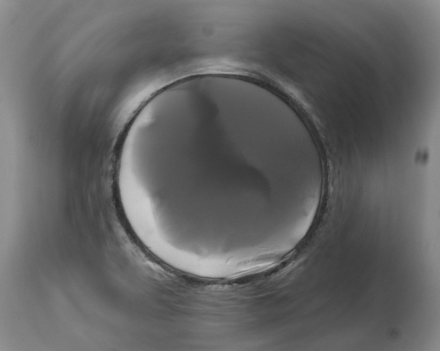 X0000114181463200911051539