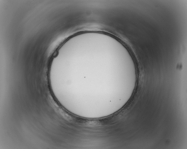 X0000114181464200911051539