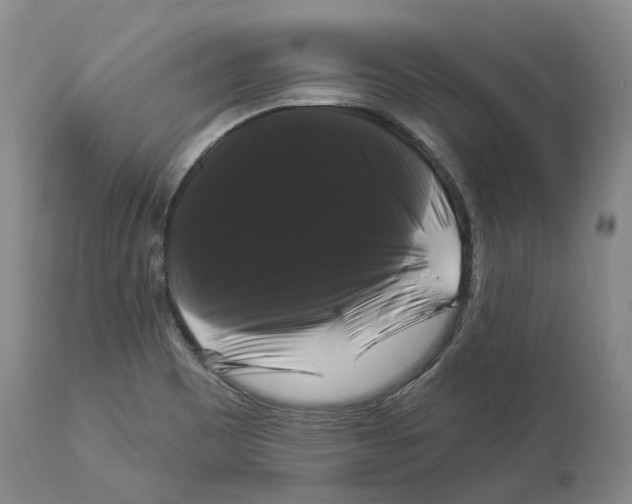 X0000114181465200911051539