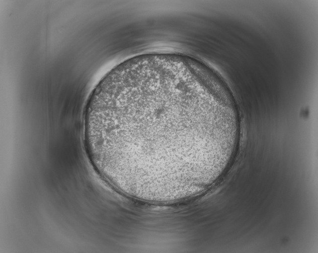 X0000114181467200911051539