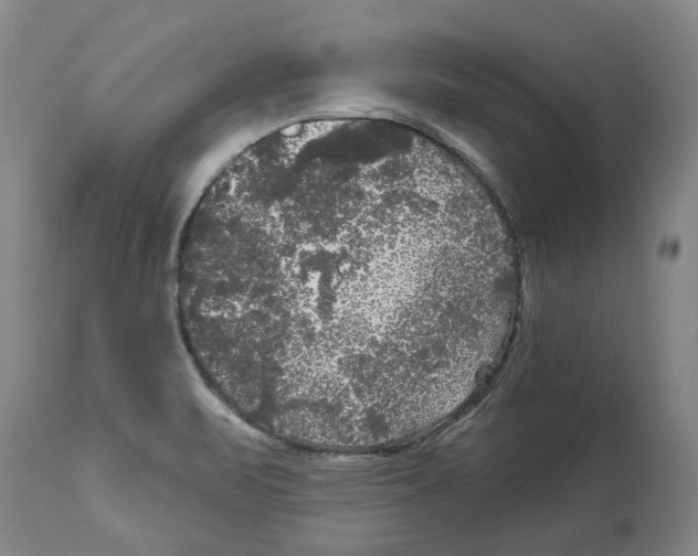 X0000114181471200911051539