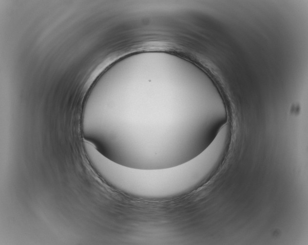 X0000114181473200911051539