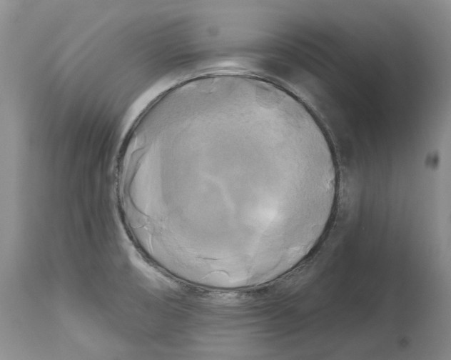 X0000114181474200911051539