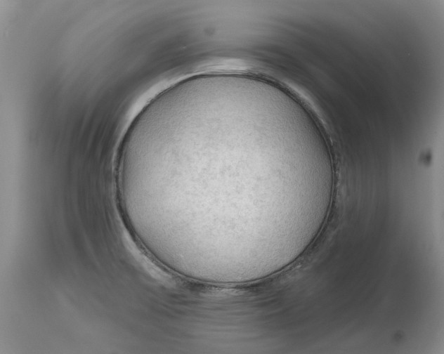 X0000114181475200911051539