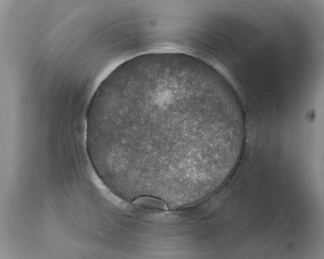 X0000114181476200911051539