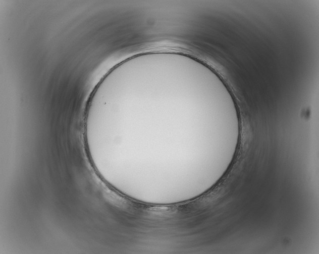 X0000114181478200911051539