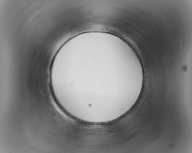 X0000114181479200911051539