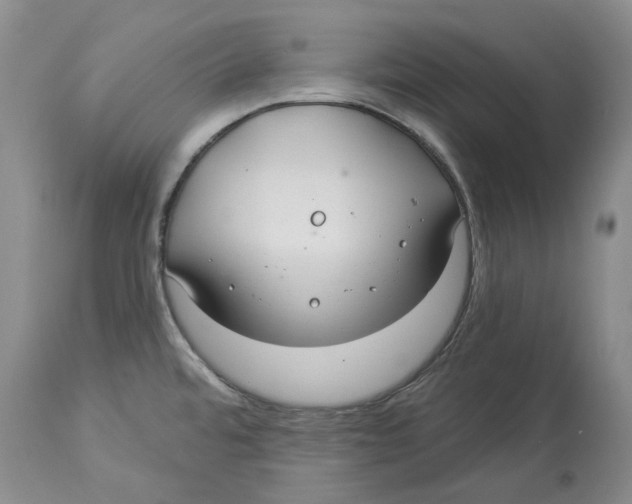 X0000114181480200911051539