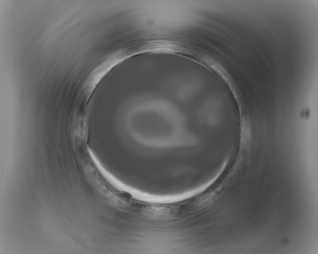 X0000114181481200911051539