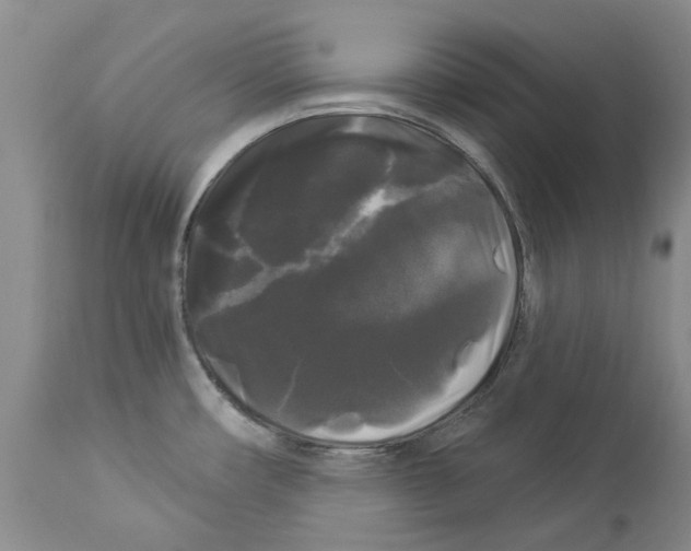 X0000114181482200911051539