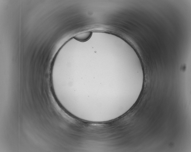 X0000114181483200911051539