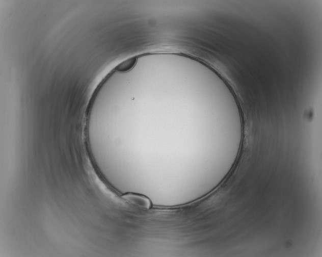 X0000114181484200911051539