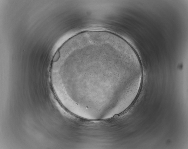 X0000114181485200911051539