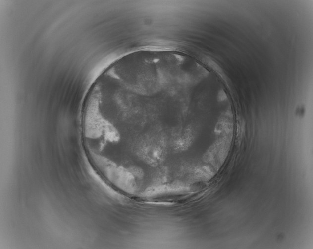 X0000114181487200911051539