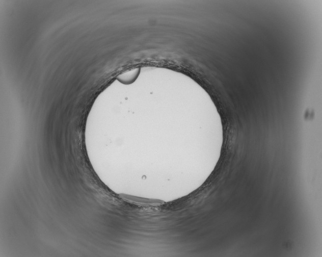 X0000114181489200911051538