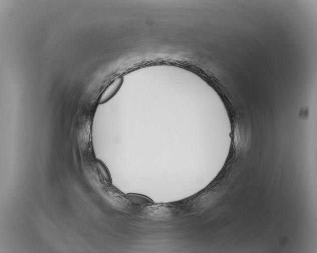 X0000114181492200911051538