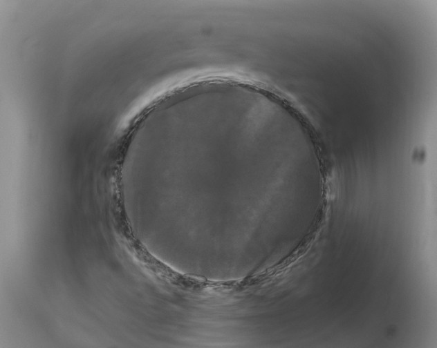 X0000114181496200911051538