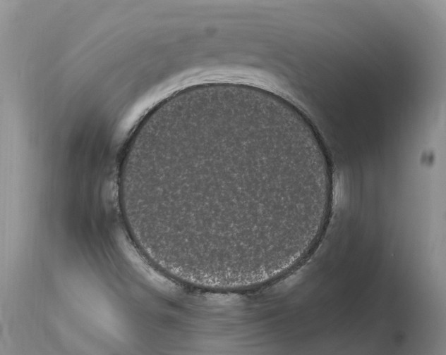 X0000114181498200911051538