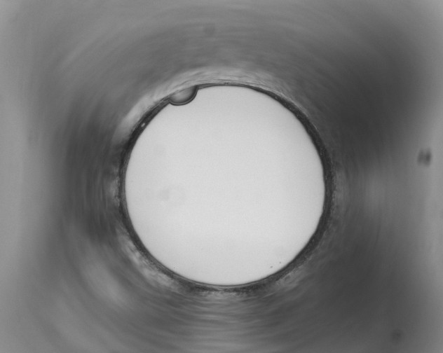 X0000114181499200911051538