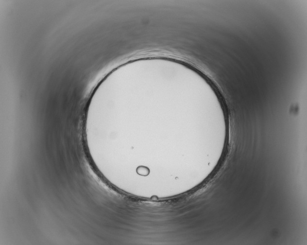 X0000114181500200911051538