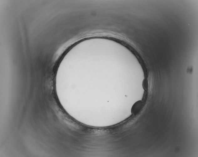 X0000114181501200911051538