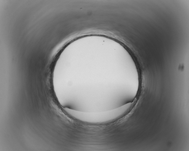 X0000114181502200911051538