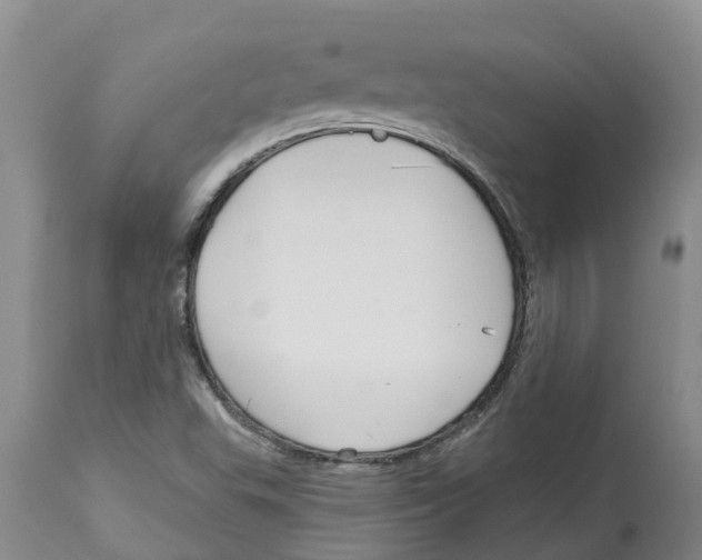 X0000114181503200911051538