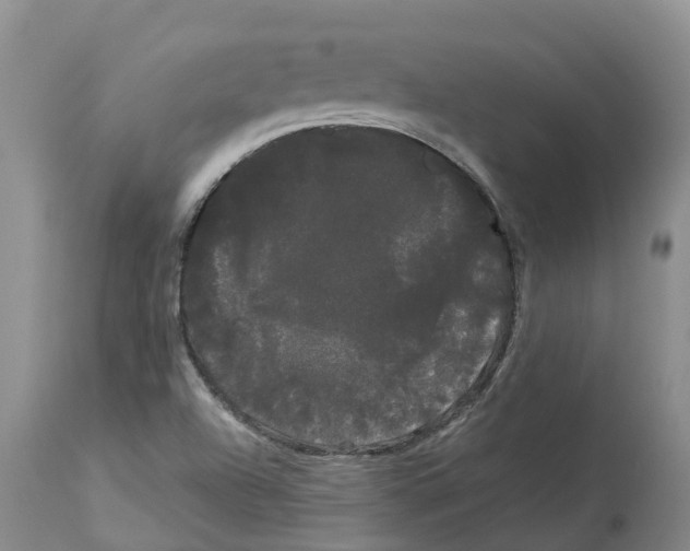 X0000114181504200911051538