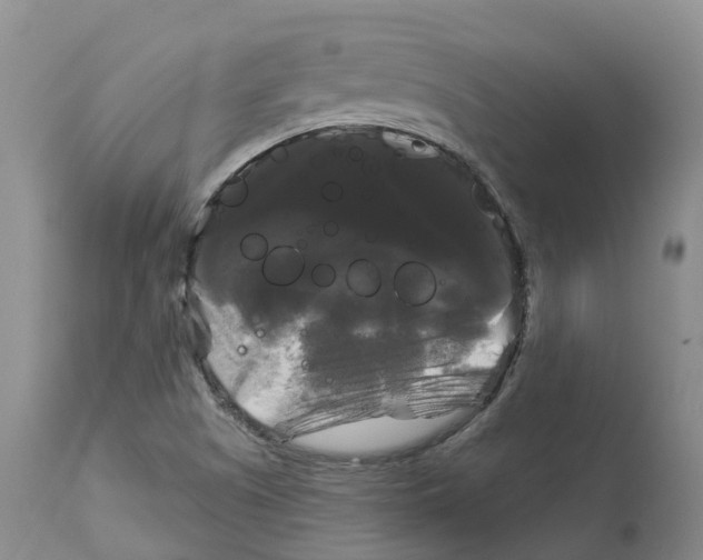 X0000114181505200911051538