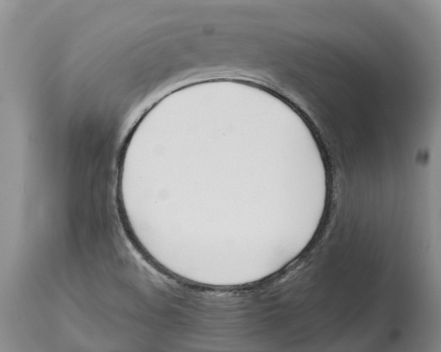 X0000114181508200911051538