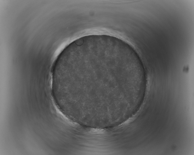 X0000114181509200911051538