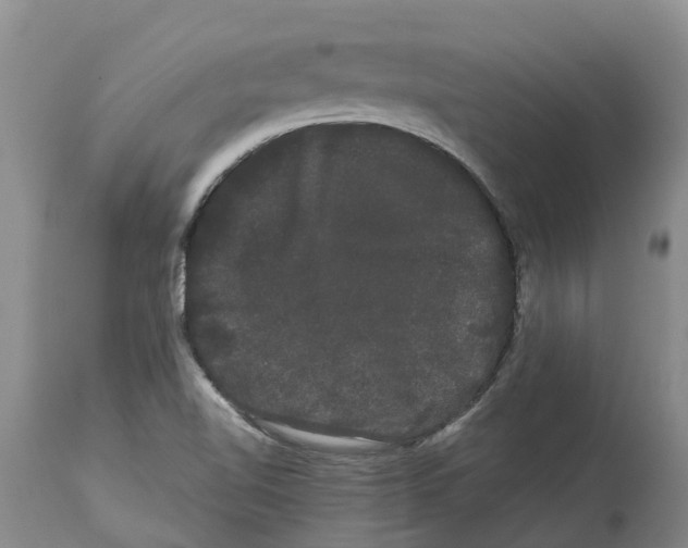 X0000114181510200911051538