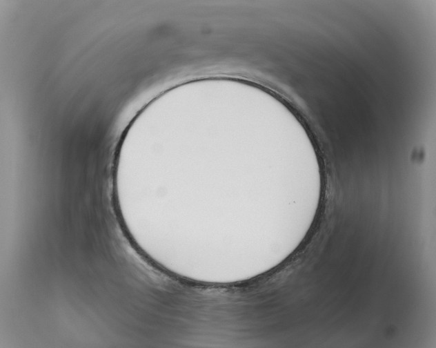 X0000114181512200911051538