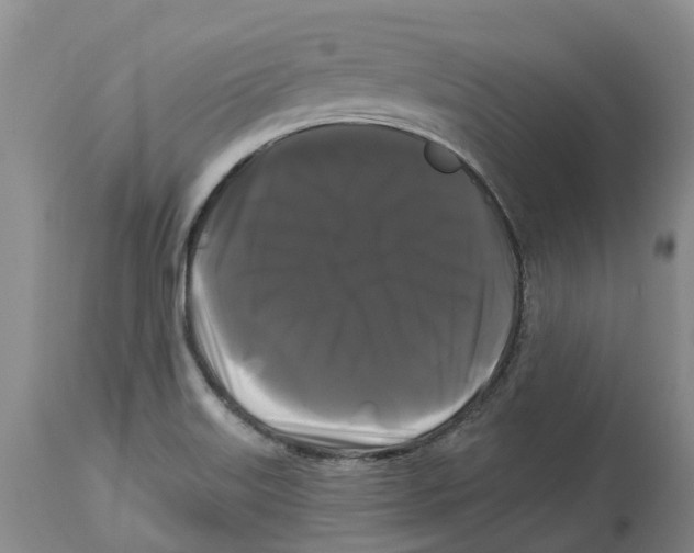 X0000114181515200911051538