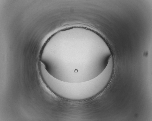 X0000114181518200911051538