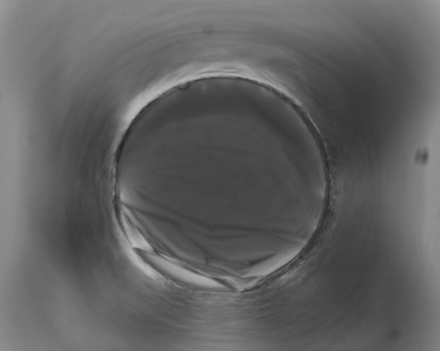 X0000114181519200911051539