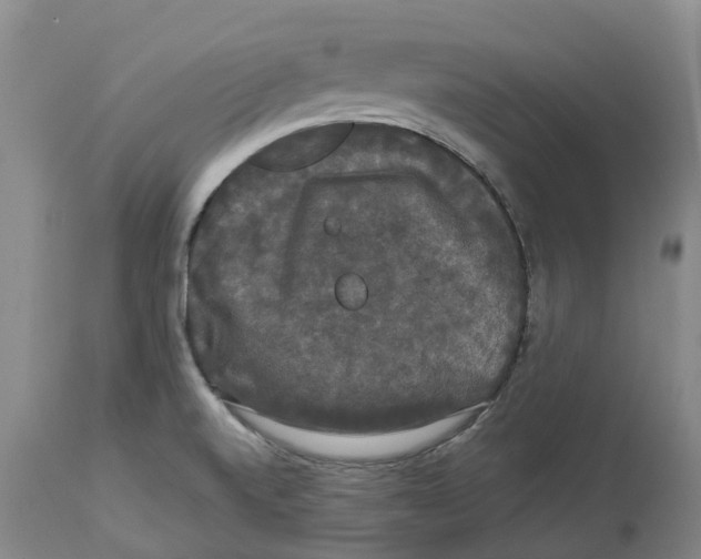 X0000114181520200911051539